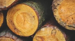 Basis in the World of Tax: Timber and Easements